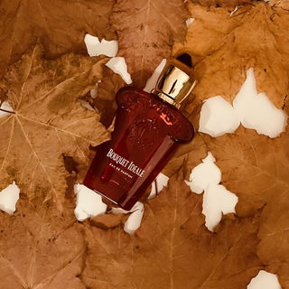 Casamorati - Bouquet Ideale (Eau de Parfum) von Xerjoff