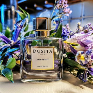 Splendiris von Dusita