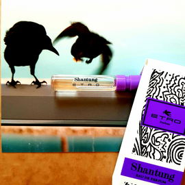 Shantung - Etro