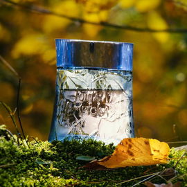 Au Masculin (Eau de Toilette) - Lolita Lempicka