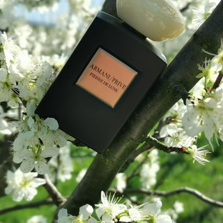 Dankeschön, liebe Smillamaus, für den tollen Duft :)   Ich wünsche Euch allen Gesundheit, Kraft und Zuversicht!