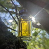 ⊰⊱•✹•⊰⊱ ich schicke Euch einen Sonnenstrahl und ganz liebe Grüße ⊱✹⊰ tausend Dank für Euren Besuch und die lieben Kommentare ⊱✹⊰ ich freue mich sehr darüber ⊰⊱•✹•⊰⊱ (von Flughörnchen)