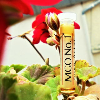 In die Rosen geranien