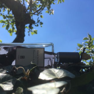 Féminité du bois von Serge Lutens