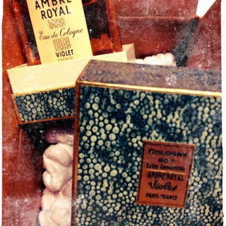 Ambre Royal von Violet