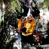 …📷🌍 Thank you. Danke schön. Merci beaucoup. Muchas gracias. Dōmo arigatō gozaimasu 💐… (by Kokusai)