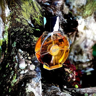 …📷🌍 Thank you. Danke schön. Merci beaucoup. Muchas gracias. Dōmo arigatō gozaimasu 💐…