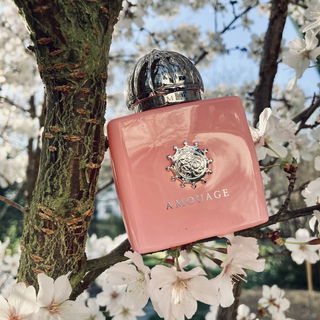 Blossom Love (Eau de Parfum) von Amouage