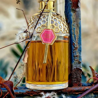 ***Ein wundervoller Winterschmeichler. Meine Nase erschnuppert Zimt und Ingwerschärfe, gebrannten Zucker und  - als einzige gelistete Duftnote 😂 - einen Hauch von Tanne. Habt eine schöne (Vor)weihnachtszeit. 🎄🌲🥰***