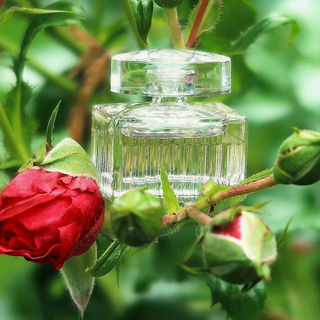 Chloé (2007) (Eau de Parfum) - Chloé