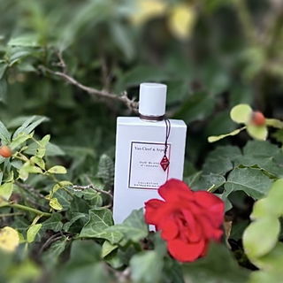 Oud Blanc - Van Cleef & Arpels