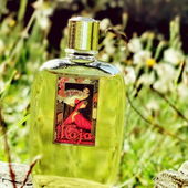 Erste Gehversuche mit dem neuen Handy, die Treffsicherheit muss ich noch üben (by Gandix)