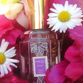 Der Frühling umarmt die Päonie! (von Olentia)