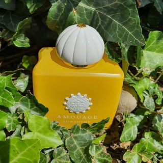 Sunshine Woman von Amouage