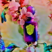 Der Duft ist schillernd wie ein Kolibri (von Gandix)