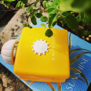 Rose de L'Antiquité Oud - Wasif Reza