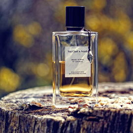 Bois d'Iris - Van Cleef & Arpels