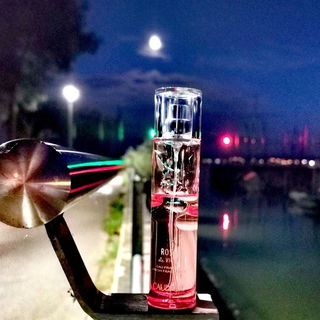 *Bodenseeimpression 2* Abendstimmung am kleinen Segelboothafen ⛵️ Ganz herzlichen Dank für Eure lieben Besuche! 🤗💜