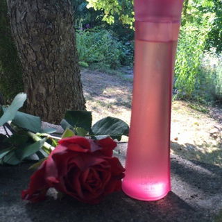 Pur Désir de Rose - Yves Rocher