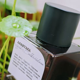Aranyaka - Pryn Parfum