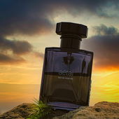 Ehemalige Poststraßensäule an der Elbe in Radebeul, auch wenn man davon nicht viel sieht - vielen Dank für eure Anerkennung (von DrHildegard)