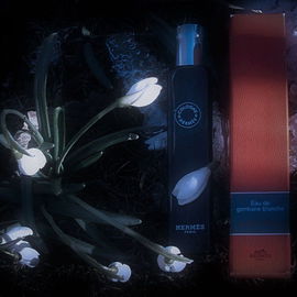 von AromaX