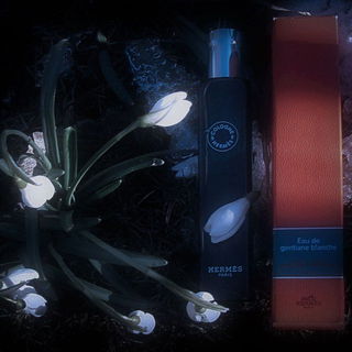 Eau de Gentiane Blanche by Hermès