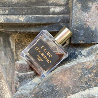 Waggonfederung mit dringendem Wartungsbedarf. Für Fresh #Verschleiß