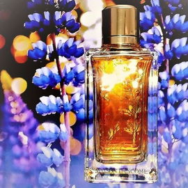 Lavandes Trianon - Lancôme