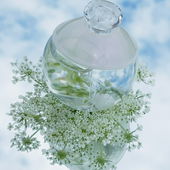 Ich bin immer und über jede einzelne positive Rückmeldung dankbar. Sei es der Pokal oder eure Kommentare. Dankeschön! (von Nachtgarten)