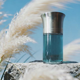 Dom Rosa - Liquides Imaginaires