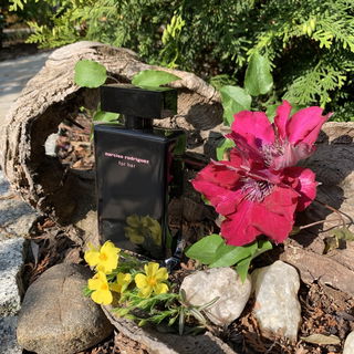 For Her (Eau de Toilette) von Narciso Rodriguez