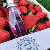 Flanker: Bio-Biotherm :-) (by LaVioletta)