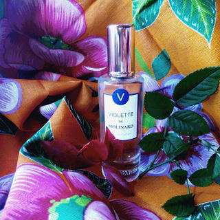 Violette (Eau de Parfum) - Molinard