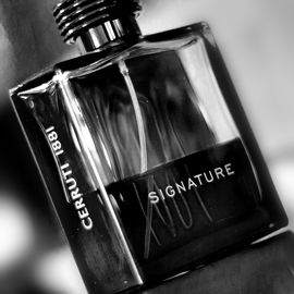 1881 Signature - Cerruti