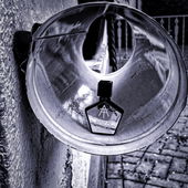 ..nicht nur Zeitungen fühlen sich hier wohl... (von Graybeard)