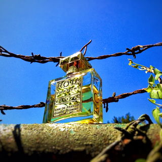 Vetiver (Eau de Parfum) - Roja Parfums