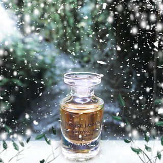 Jasmin schaut auf den sprudelnden Bach💦❄️ Euch allen wünsche ich einen guten Rutsch ins neue Jahr 🍀🎊💫 und sage