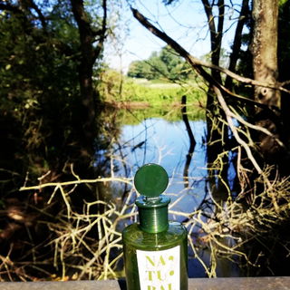 Cedar Wood by Monotheme