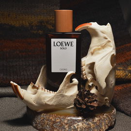 Solo Cedro - Loewe