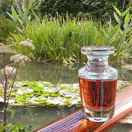 Am Seerosenteich in Monet's Garten in Giverny 🌱💮🌱 Lieben Dank für Eure schönen Rückmeldungen 😊