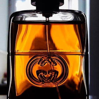 Guilty Absolute pour Homme von Gucci