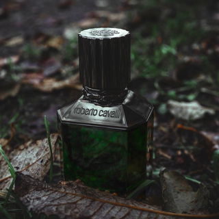 Paradise Found for Men - Roberto Cavalli