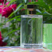 Ganz verrückt nach Absinth (von Stanze)