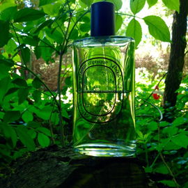 L'Eau de L'Eau - Diptyque