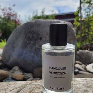 Hangover Meditation - Emil Élise