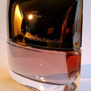 Reveal Men (Eau de Toilette) - Calvin Klein