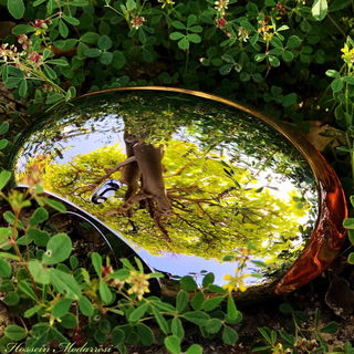 Présence d'Une Femme - Montblanc