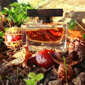 Herbstvibes (by Cherry22)