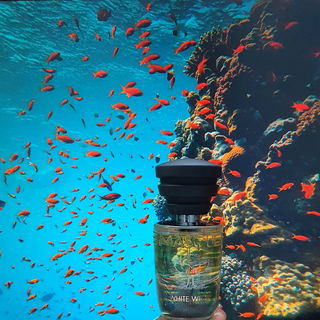 🎶🎵 Andadasi, andadasi. We got no troubles, Life is the bubbles Under the sea.